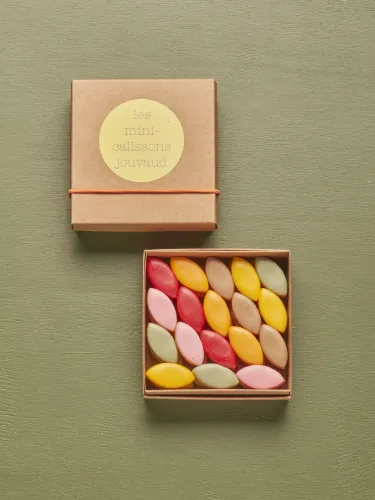 Les Minis Calissons d'Aix aux fruits