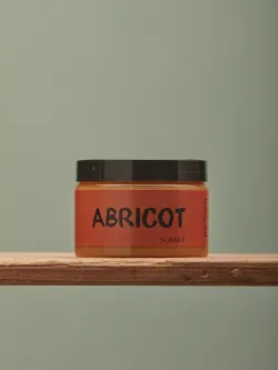 Sorbet Abricot